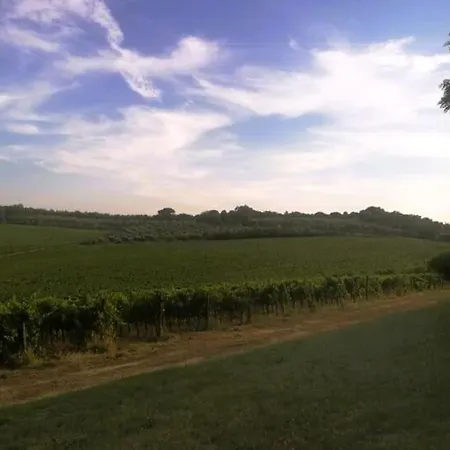 Borgo Di Vino *