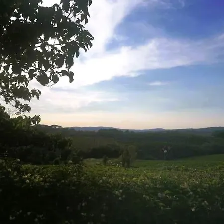 Apartment Borgo Di Vino Castelnuovo Berardenga