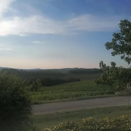 Borgo Di Vino *